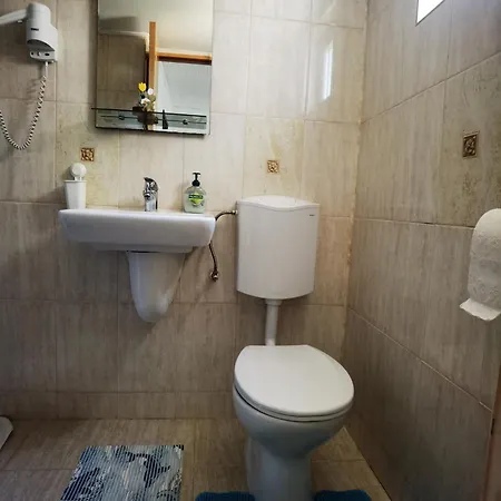 Casa Mihaela Alloggio in famiglia