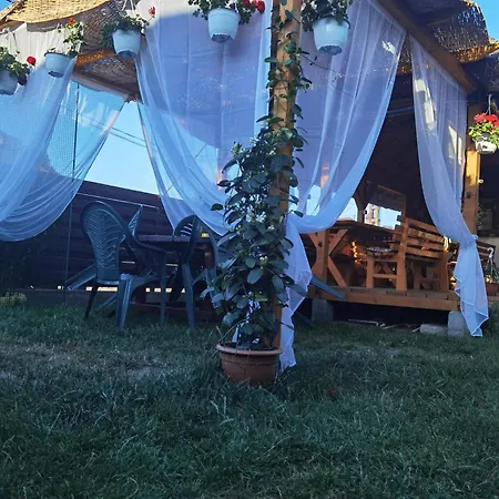 Casa Mihaela Alloggio in famiglia Sfântu Gheorghe