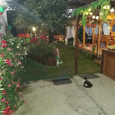 Homestay szállás Casa Mihaela